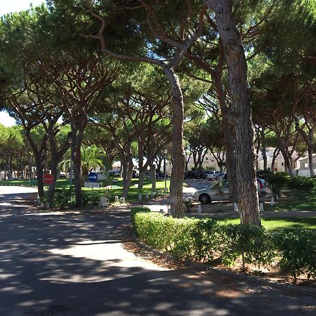 Estudio Tranquilo Praia Da Falesia Albufeira Eksteriør bilde